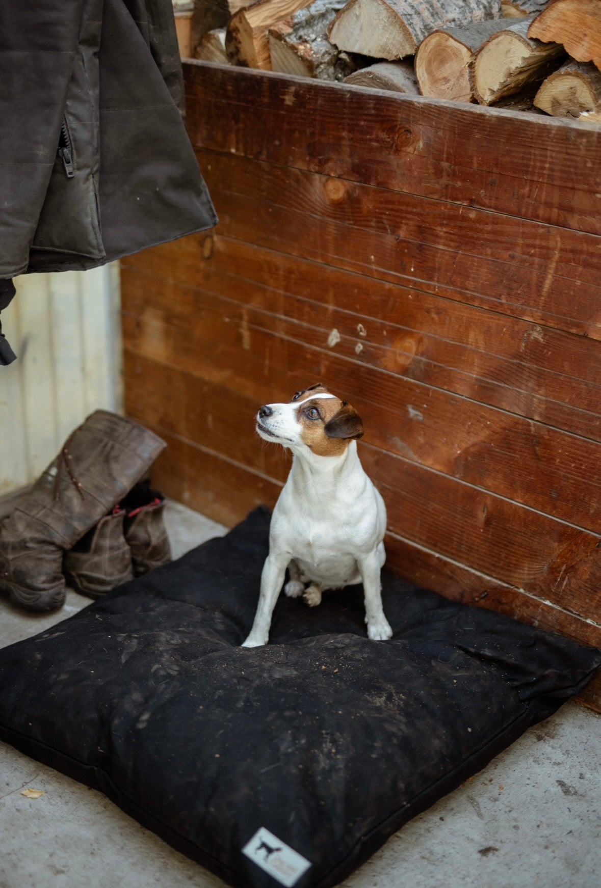 Ultra Tough outdoor dog beds