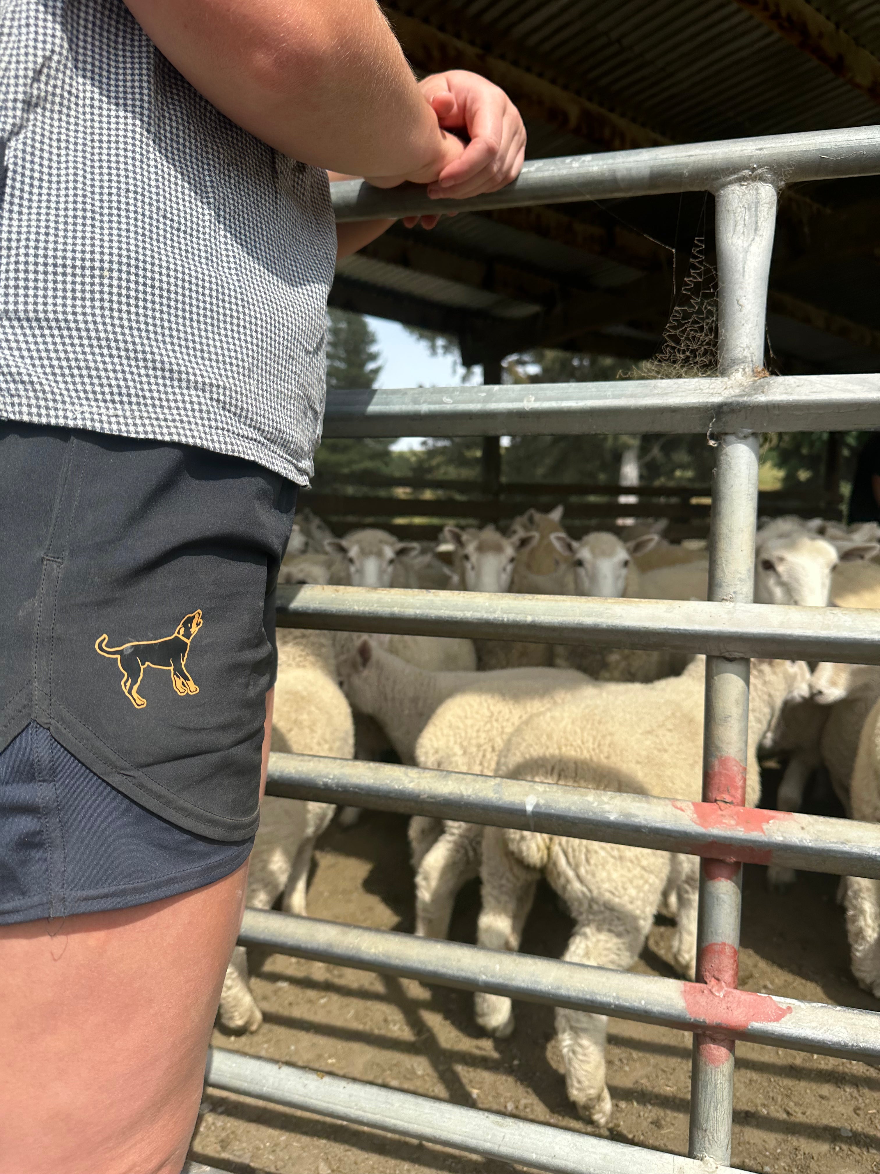 Active Shorts