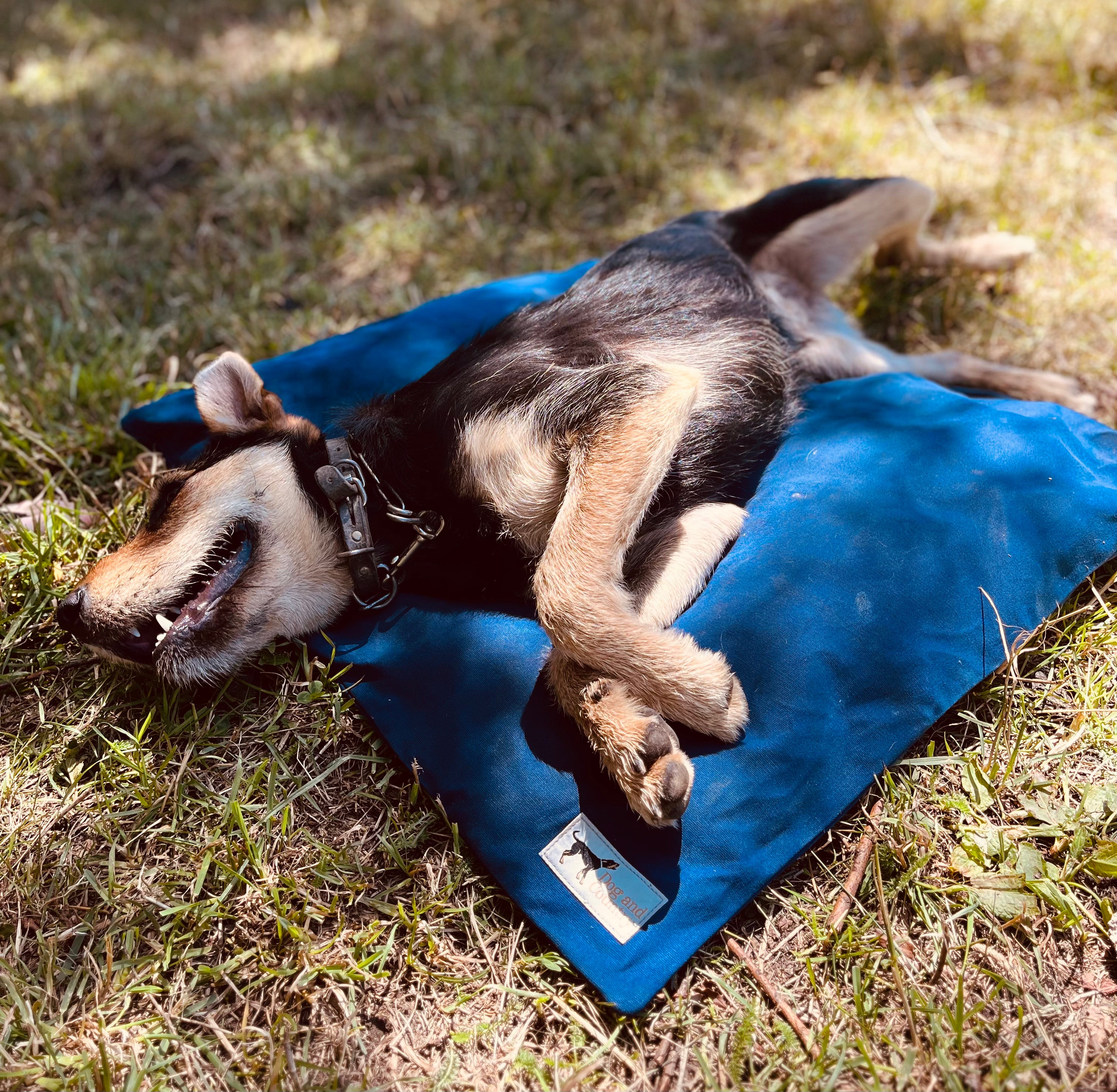 Ultra Tough outdoor dog beds