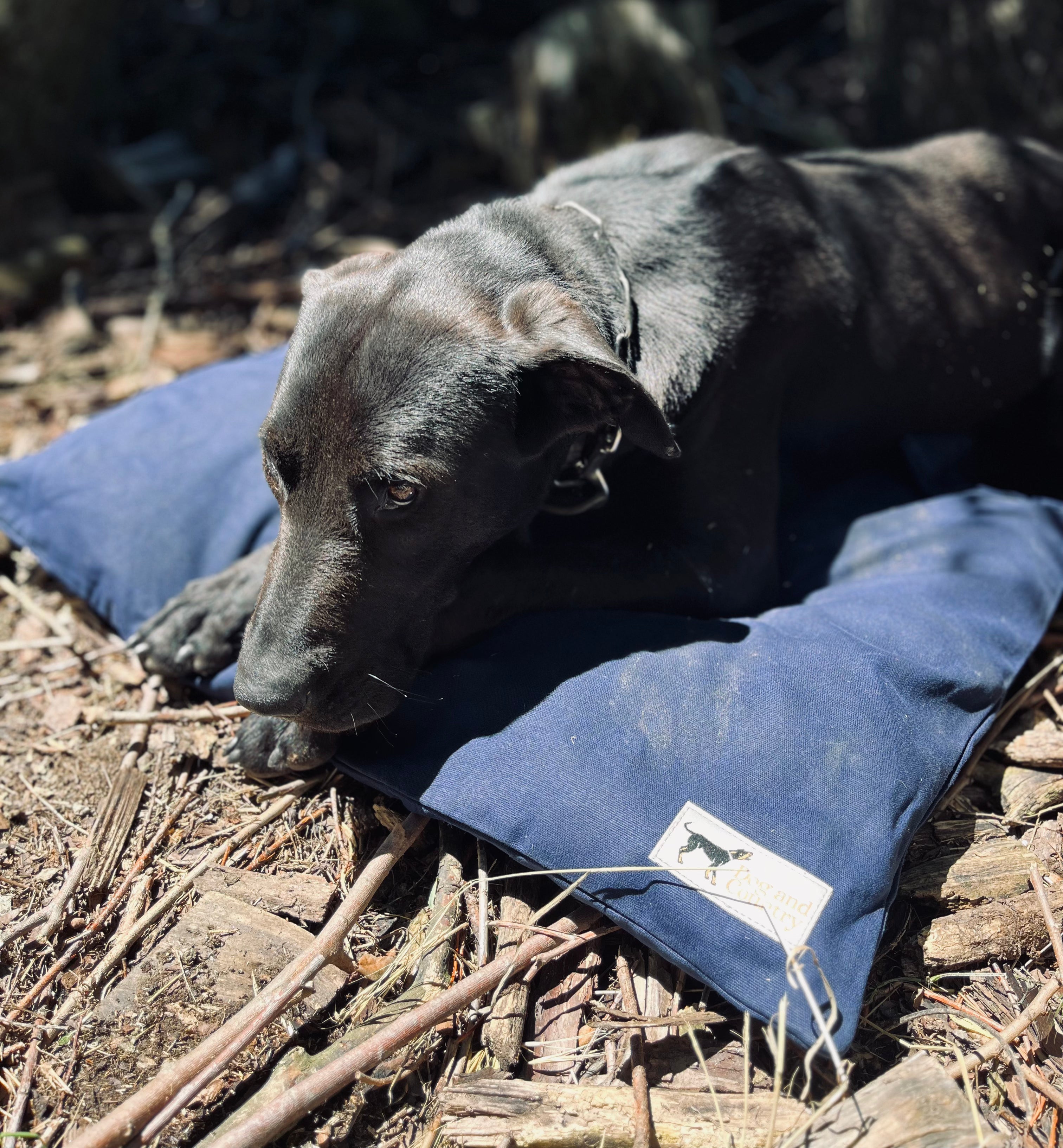 Ultra Tough outdoor dog beds