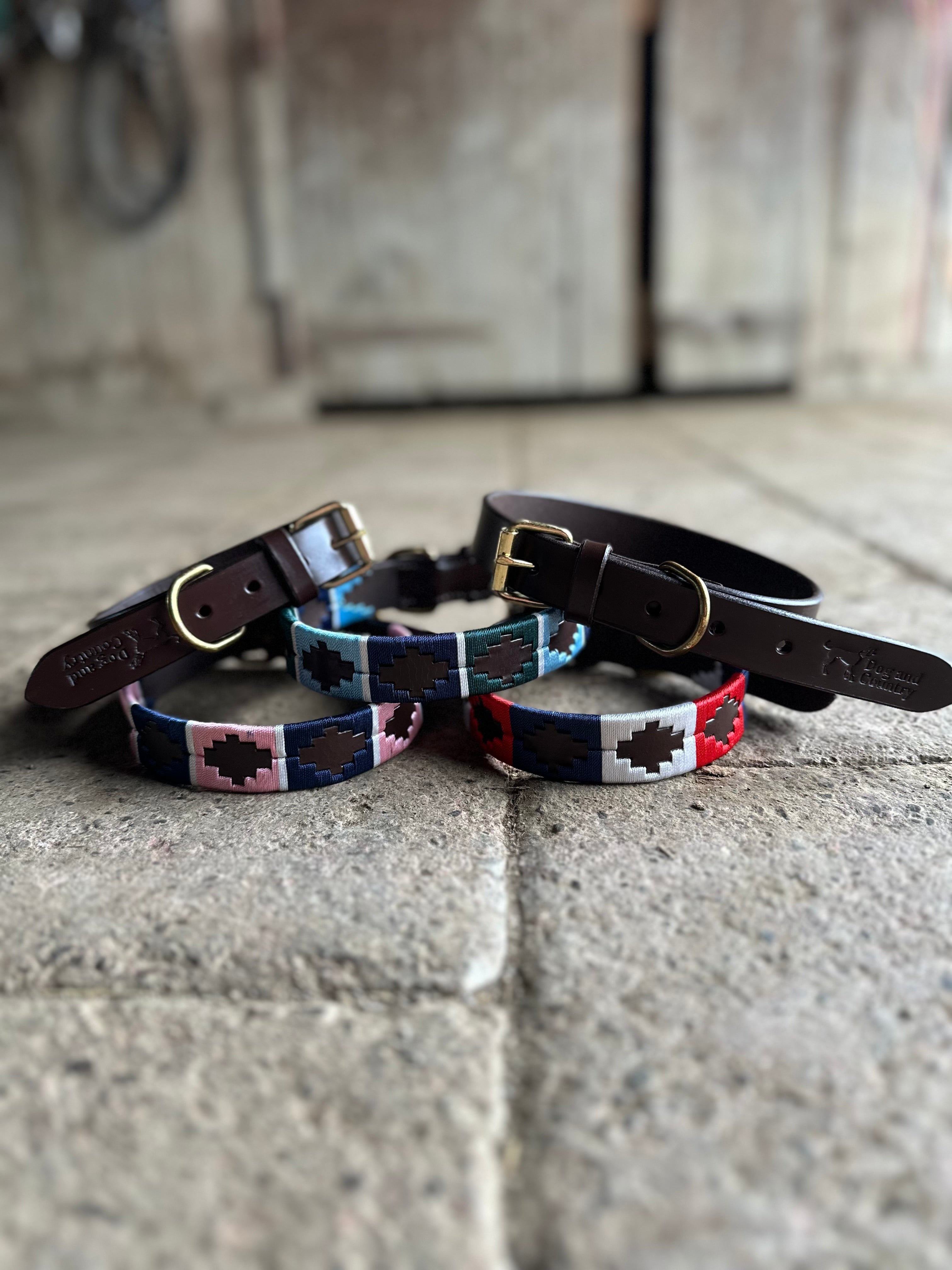 DOG COLLARS