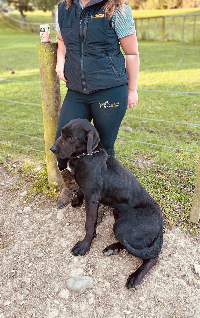 Goldendoodle leggings clearance