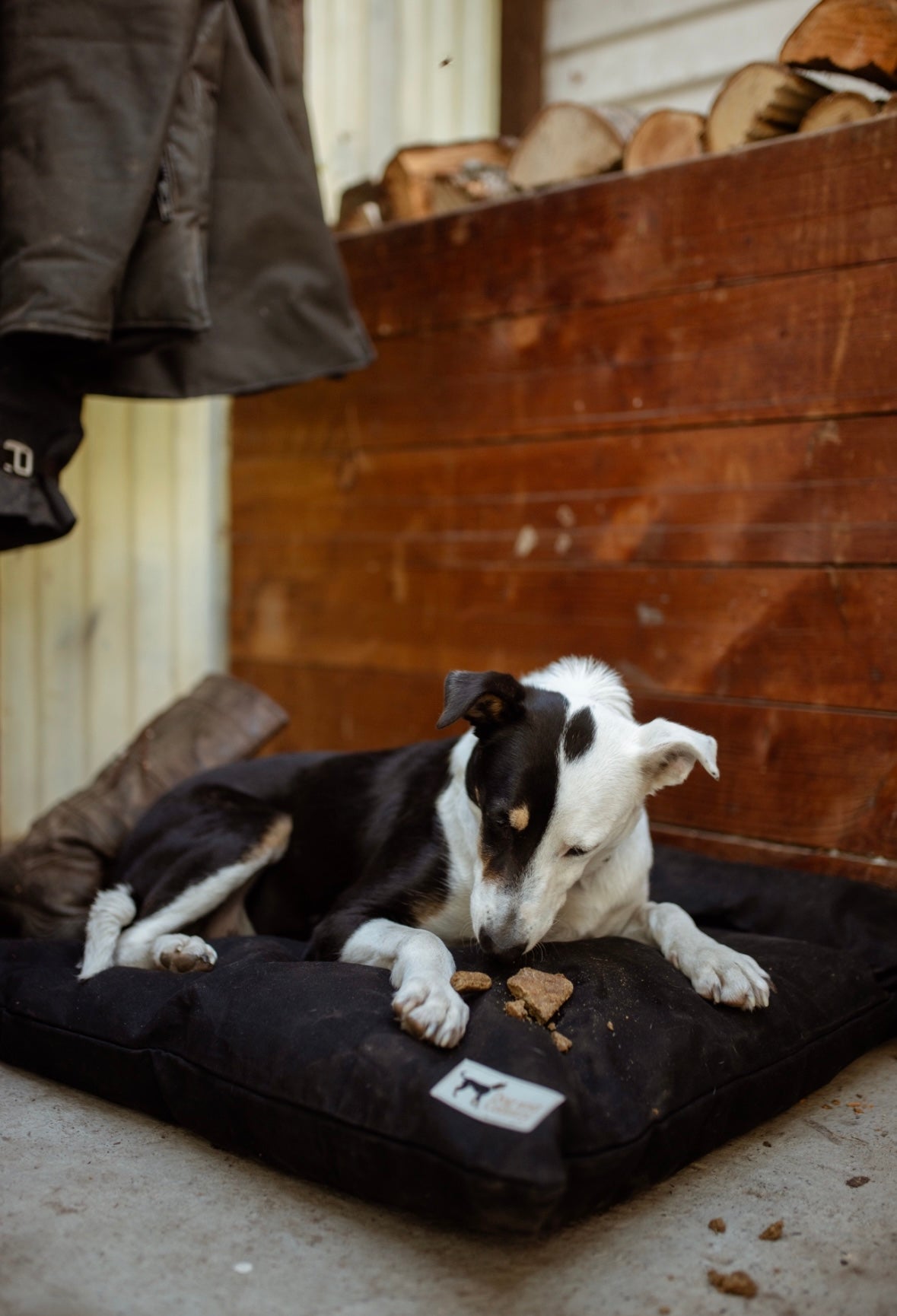 Ultra Tough outdoor dog beds