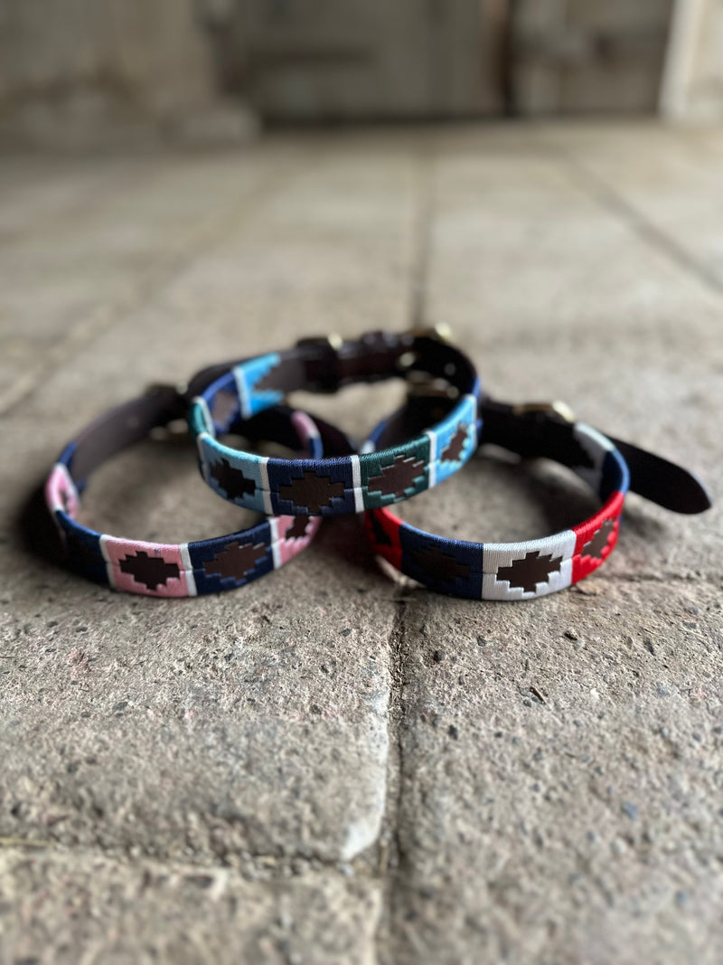 Polo Collars