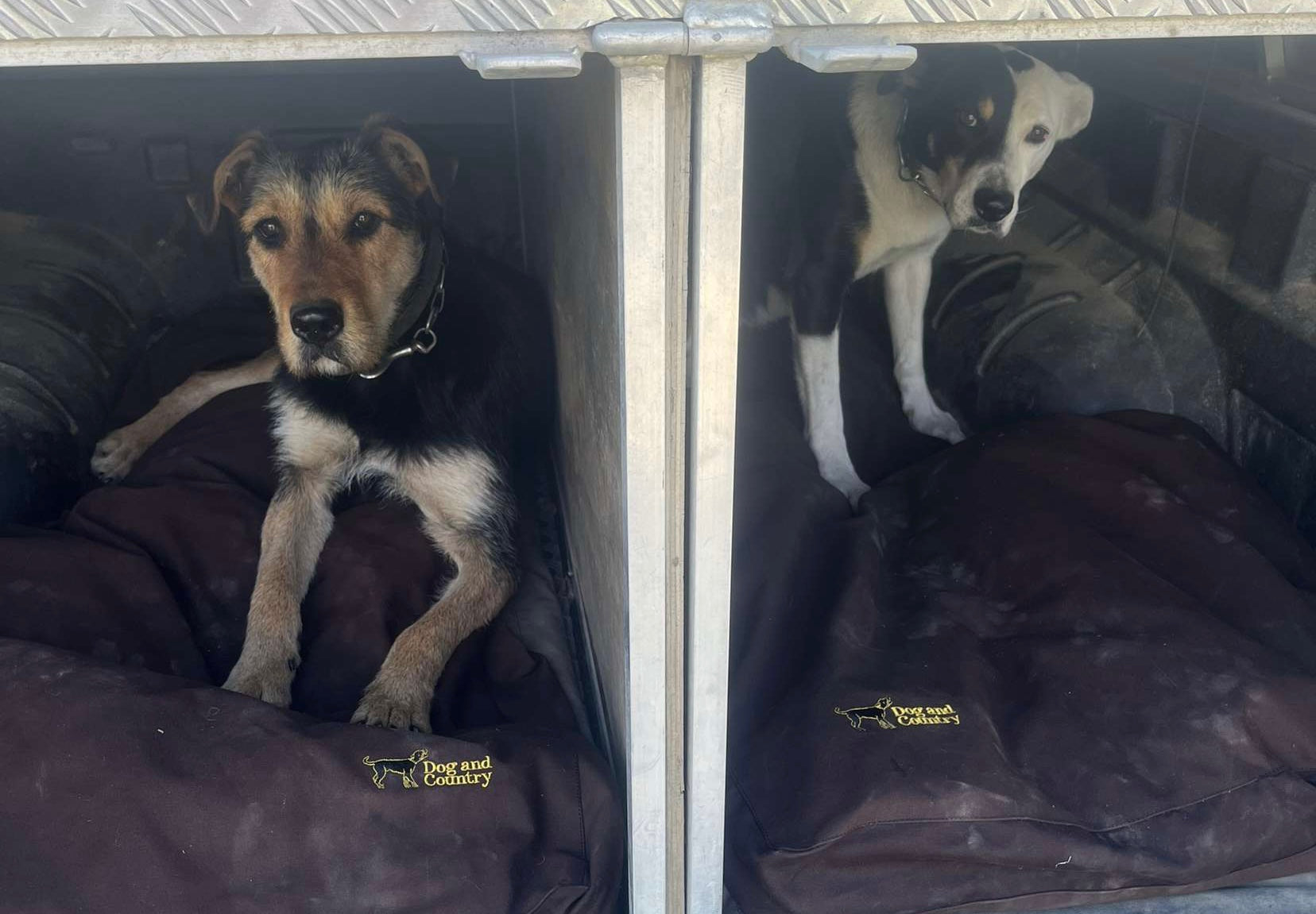 Ute Canvas Dog Beds