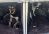 Ute Canvas Dog Beds