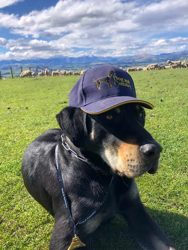 Dog and Country Cap