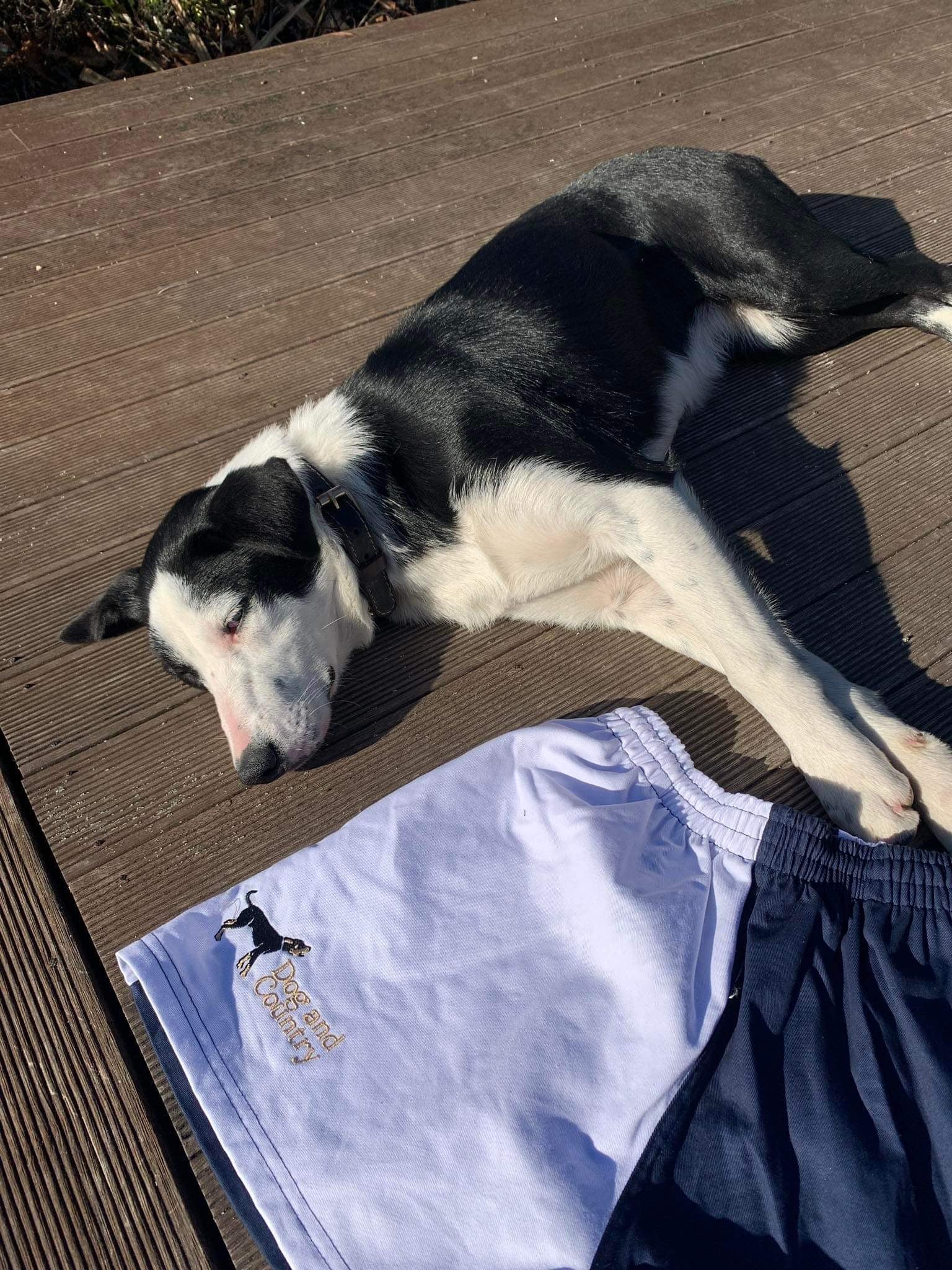 Navy Rugby Shorts