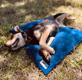 Ultra Tough outdoor dog beds